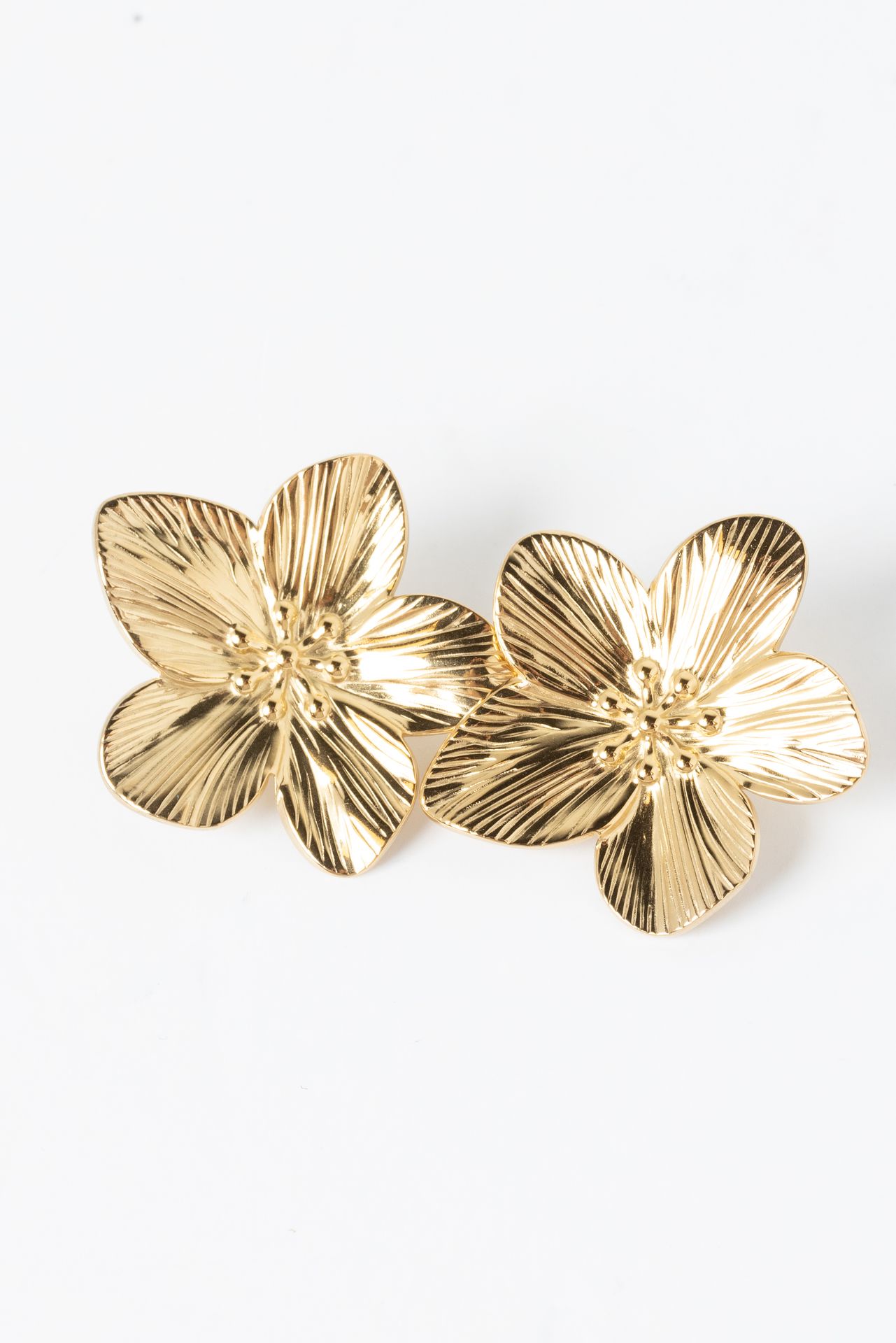 Norah Goudkleurige oorbellen rond gold 217205-199