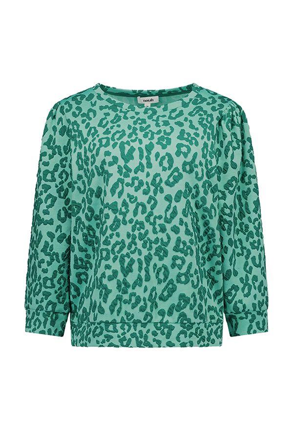 Norah Groene sweater met luipaardprint green 218305-500-40