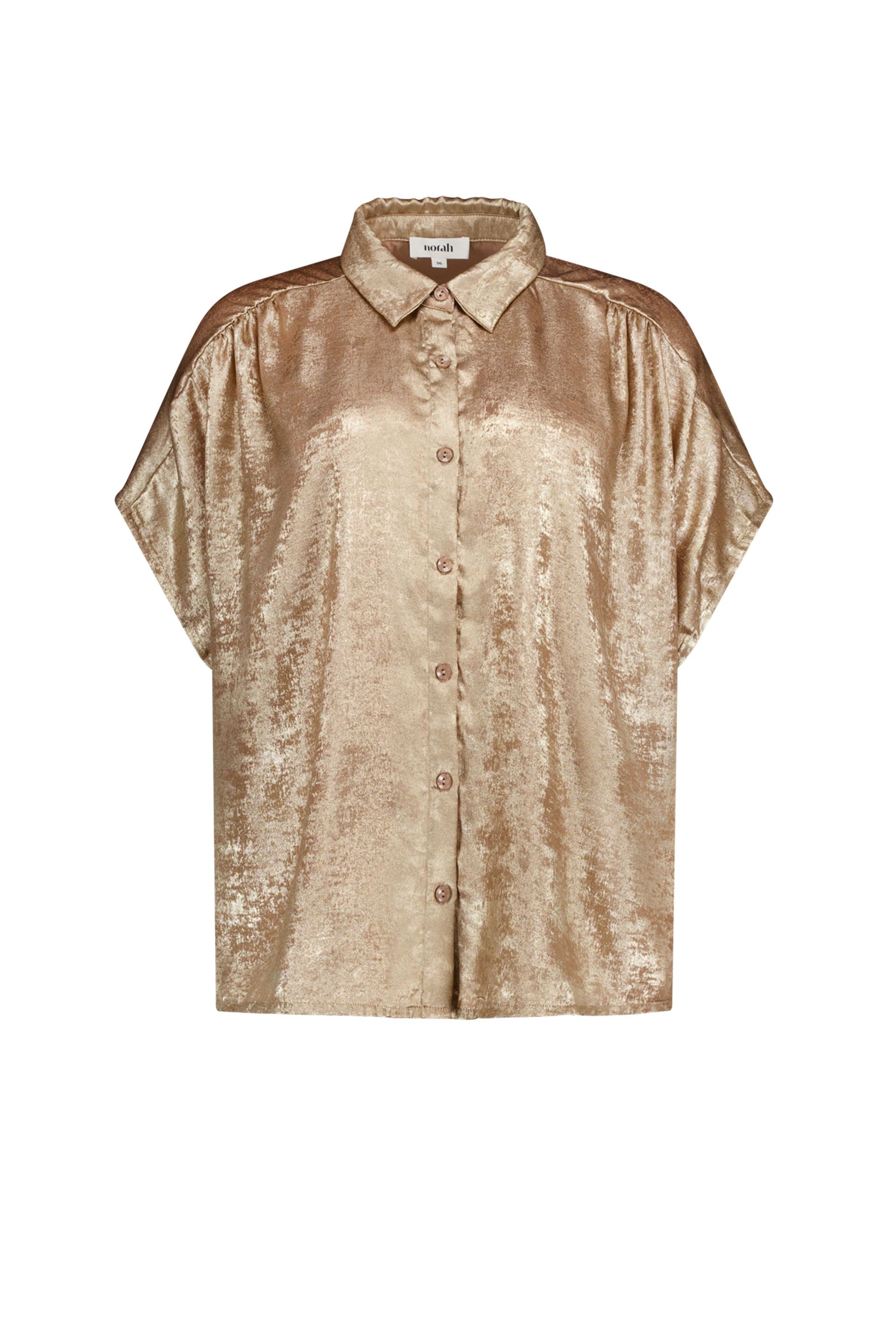 Norah Bronskleurige glanzende blouse bronze 218737-310-34