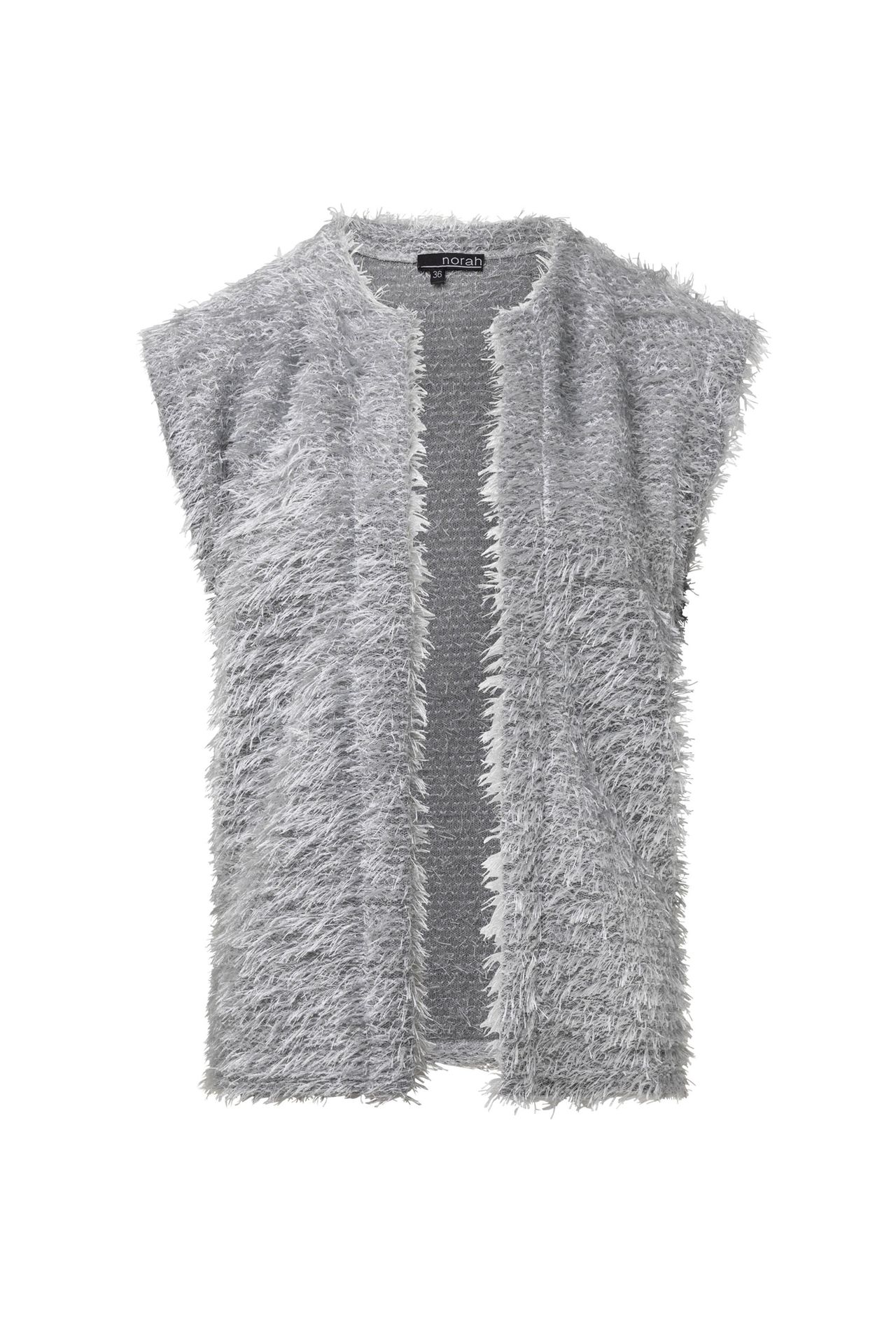 Norah Gilet zilver silver 214985-099